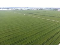 Antalya'da 458 bin 869 dekar tarım arazisi sulanmaya başladı