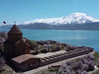 Ziyaretçisiz kalan Akdamar Adası badem çiçekleri ile görsel bir güzellik sunuyor