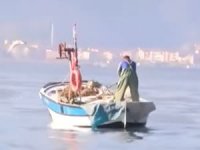 Koronavirüs salgını, denizlere yaradı