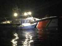 Sahil Güvenlik Komutanlığından deniz patlıcanı operasyonu