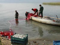 Koronavirüs gümüş balığı fiyatlarını da etkiledi