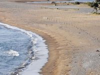 İztuzu sahili caretta carettalara kaldı