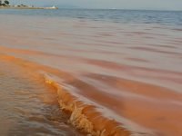 Şarköy'ün kıyı şeridi turuncu renge boyandı