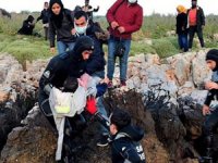 Çeşme'deki adaya sığınan göçmenleri Sahil Güvenlik kurtardı