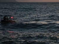 Kuşadası’nda ölü yunus balığı karaya vurdu