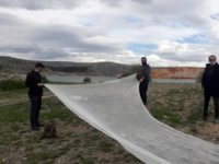Baraja kırmızı balık bırakan ABD'li nedenini açıkladı
