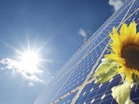 Portekiz 700 MW’lık güneş ihalesi düzenleyecek