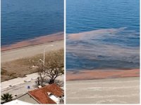 Kurşunlu'da deniz turuncuya döndü