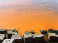 Marmara Denizi'nde yine turuncu oldu