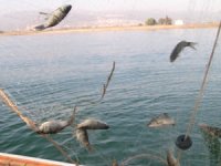 Özel tekne ile amatör su ürünleri avcılığı başlıyor