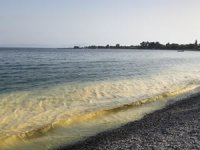 Ören’de deniz  sarı renk oldu