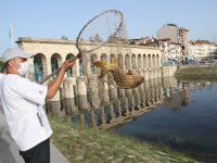 Sulama kanalından balık kurtarma operasyonu