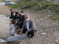 Van’daki göl ve göletlere 180 bin balık yavrusu bırakıldı