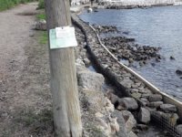 Birinci Derece arkeolojik sit alanına duvar örüldü