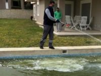 Büyükşehir 190 bin noktada ilaçlamayı sürdürüyor