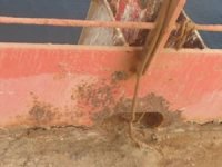 Dünya tarihinin en büyük çevre felaketi yaşanabilir