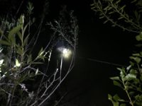 Van Gölü’nde kaçak avlanmış 16 ton ölü balık ele geçirildi