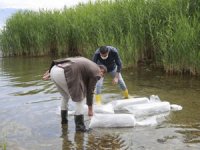 Göle 70 bin yavru sazan bırakıldı