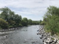 Kars Barajı’ndan balıklara ‘can suyu’ verildi