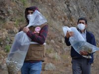 Demirci'de 9 bin balık yavrusu suyla buluştu