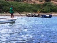 Sahil Güvenlik, öldürülen köpek balığıyla ilgili harekete geçti