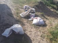 Van’da kaçak avlanmış 2 ton balığa el konuldu