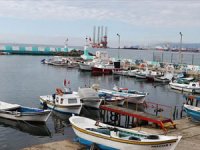 Kısıtlamanın kaldırılmasının ardından balıkçıların yüzü istavrit ile güldü