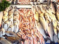 Balık ve deniz ürünleri ithalatına kayıt düzenlemesi