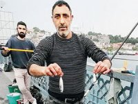 Kısıtlama sonrası oltalar balık doldu
