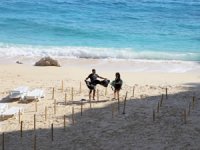Dünyaca ünlü plajda ‘yeni düzen’
