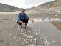 Adıyaman’da korkutan görüntü