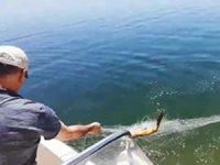 Kaçak balık avlayan 63 kişiye 73 bin lira para cezası verildi