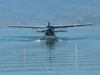 İzmit Körfezi’nin kanatlı koruyucusu tüm Marmara Denizi’ni koruyacak