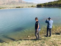 Van'daki balık ölümleri araştırılıyor