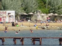 Marmara’da deniz sezonu açıldı, tatilciler Armutlu’ya akın etti