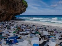 2050 yılında, okyanuslardaki plastik atıkların miktarı balıkları geçebilir