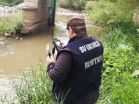 Kars’taki balık ölümlerinin ardından ekipler harekete geçti!