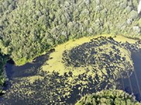 Elmalı barajında korkutan görüntü