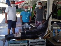 2.5 metrelik dev kılıç balığı Saroz'da yakalandı