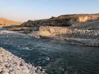 HES nedeniyle her yıl binlerce balık ölüyor