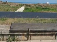 Trabzon'da yılanlar deniz kenarına kadar indi