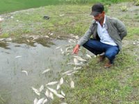 Sulama göletinde korkutan görüntü