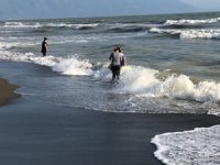 Hatay’da sahile çok sayıda ölü balık vurdu