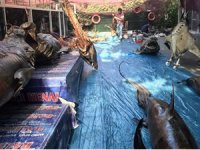 Türkiye'nin tek balıkçılık müzesi ziyaretçilerini bekliyor