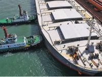 Baltık Kuru Yük Endeksi altı ayın zirvesinde