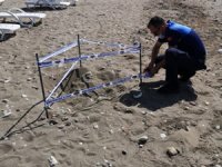 Deniz kaplumbağasının yumurtaları koruma altına alındı