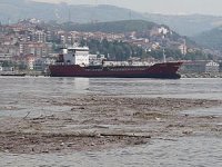 Kocaeli'de selin sürüklediği atıklar, İzmit Körfezi'nde rekoru getirdi