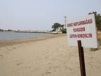 Deniz kaplumbağalarının rahatsız edilmemesi ve evde beslenmemesi uyarısı