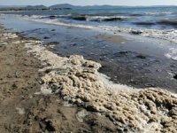 Çevreye zarar veren atıklar etrafa kötü kokular saçıyor