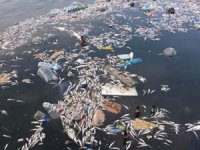 Küçükçekmece Gölü, 'ÖLÜ GÖL'E dönüşüyor!